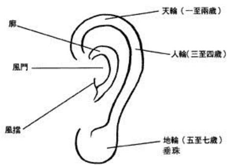 提耳面相|面相入门